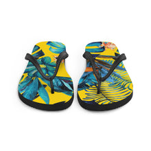 Flip-Flops