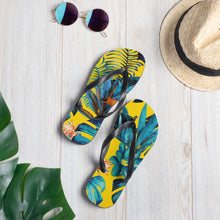 Flip-Flops